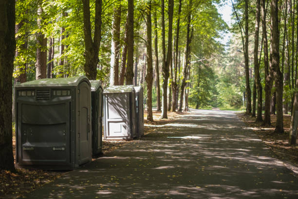 Best Portable bathroom rental  in Mountain Iron, MN